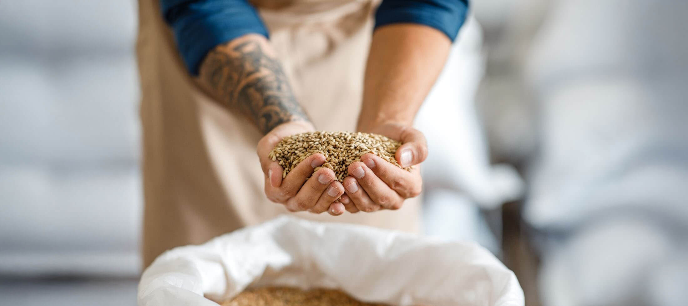 Person scooping handful of brewers malt out of a white bag