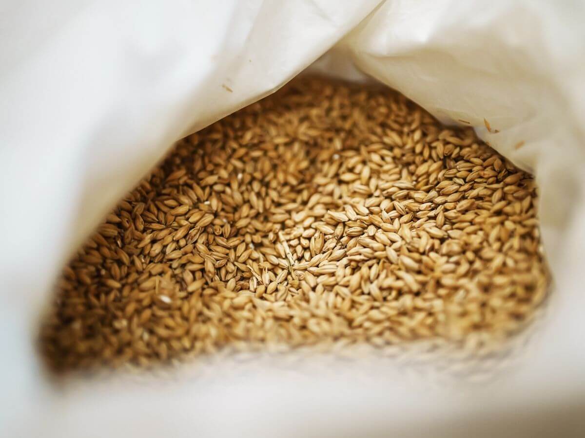 Close-up of a white bag filled with brewers malt